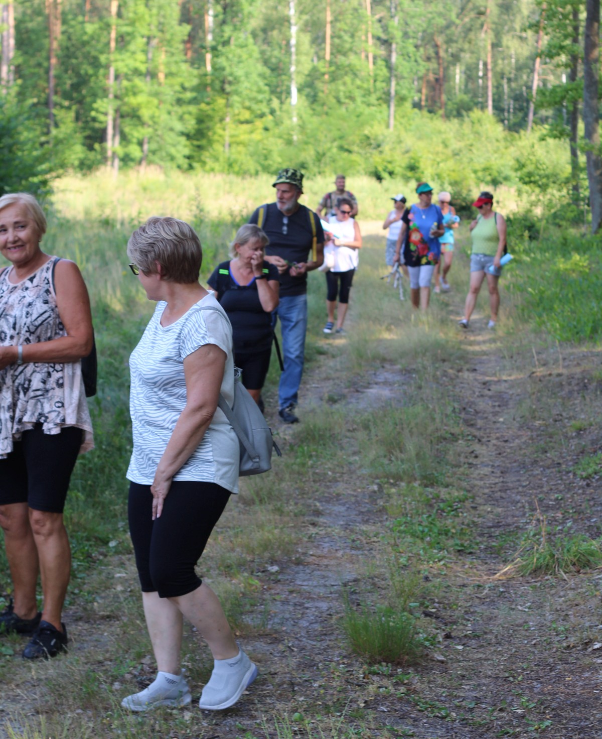 Grupa kilkunastu seniorów spacerująca leśną alejką